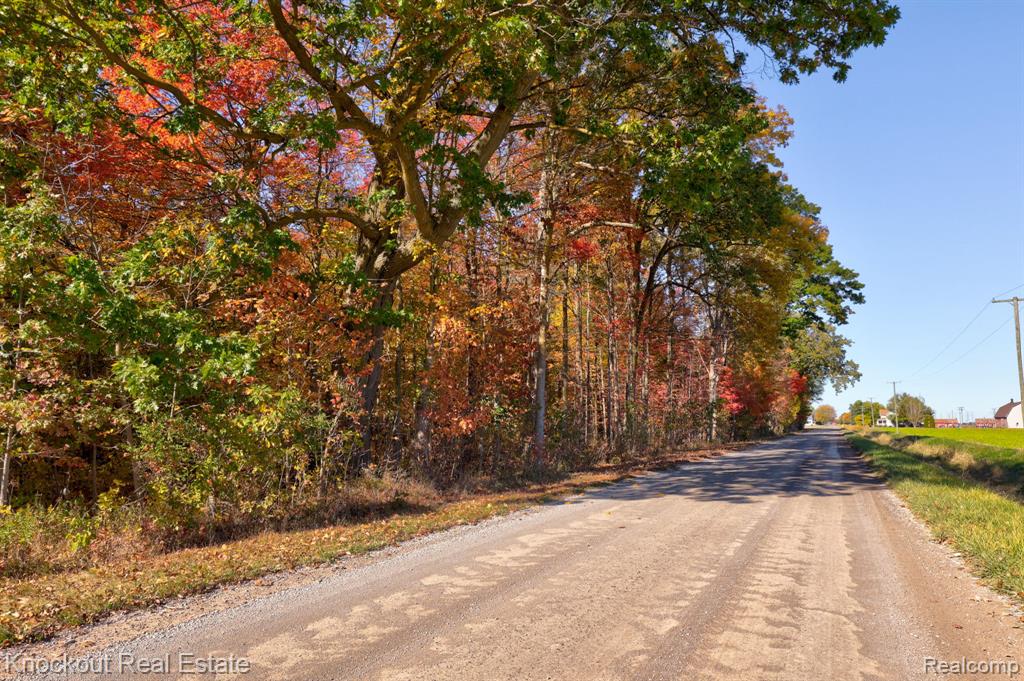 4000 S Reese Road, Frankenmuth, MI 48734 — Photo 15