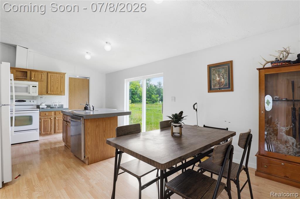 253 Park Street, Gaines Vlg, MI 48436 — Photo 6