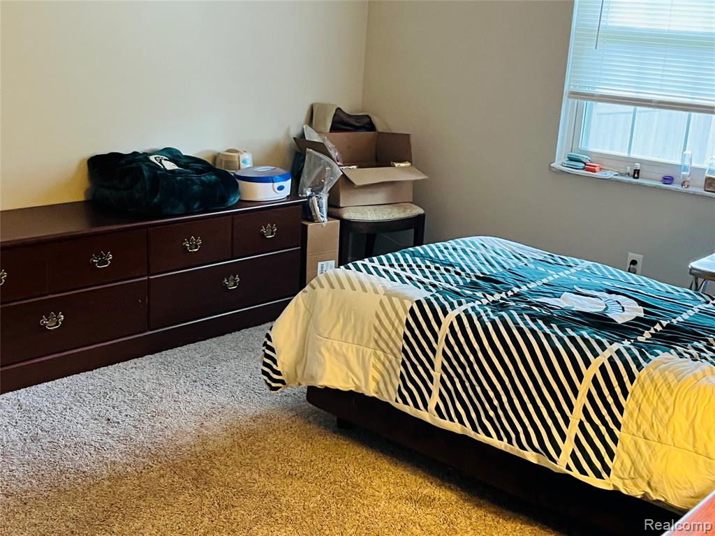 539 Zehnder Drive, Frankenmuth, MI 48734 — Photo 10