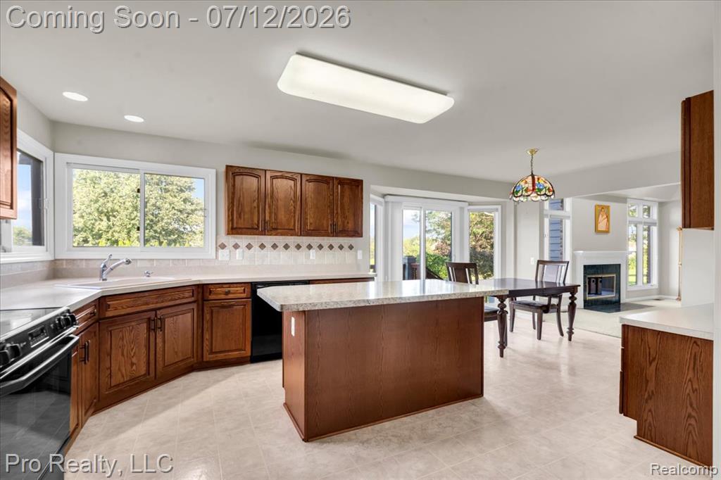 13838 Fawn Woods Court, Plymouth, MI 48170 — Photo 8