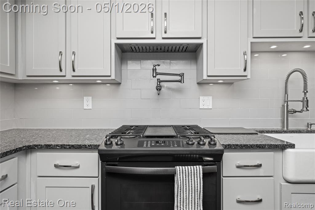 42374 Willow Tree Lane E, Clinton Twp, MI 48038 — Photo 20