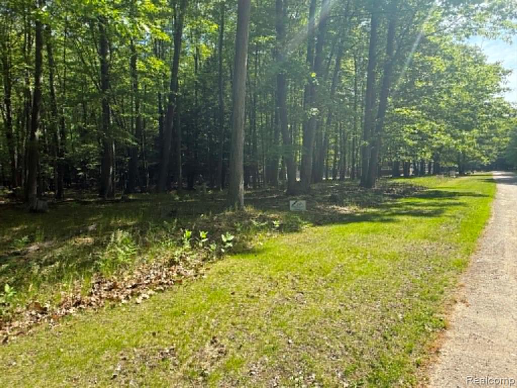 Lot 16 Towering Oaks Drive, Port Austin, MI — Photo 7