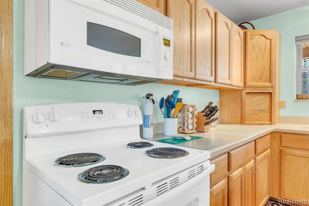 241 DENNY Lane, Alger, MI 48610 — Photo 22