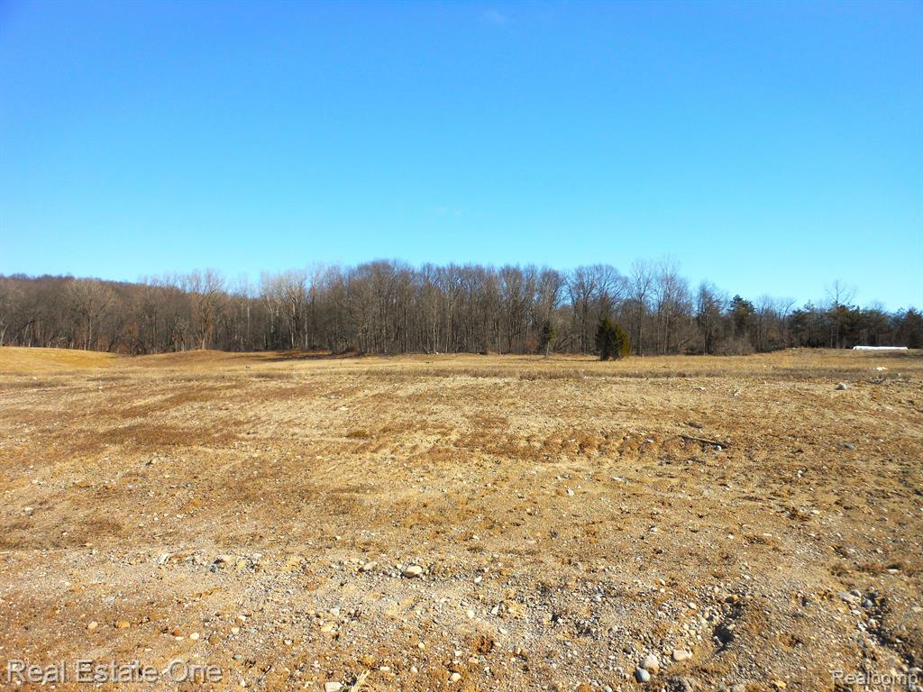 6 Park Ridge Road, White Lake, MI — Photo 13