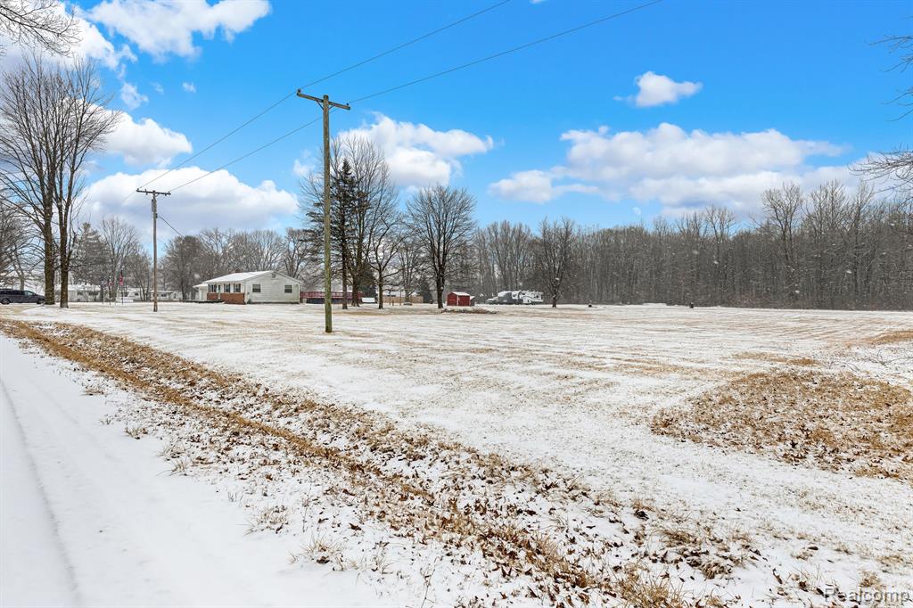 11345 HOFFMAN Road, Maybee, MI — Photo 4