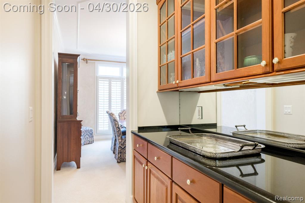 16612 Brooklane Boulevard, Northville, MI 48168 — Photo 20
