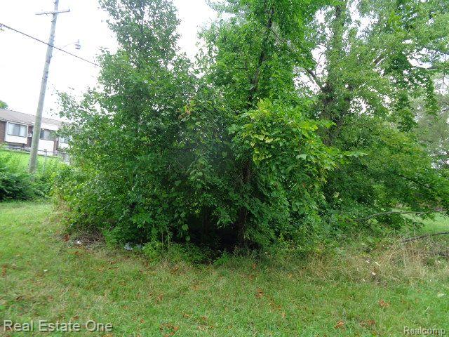 2881 17TH Street, Detroit, MI 48216 — Photo 13
