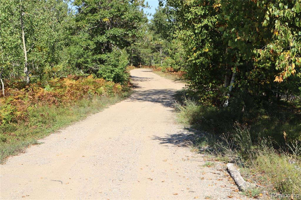 Lot D W Pendills Lake Road, Brimley, MI 49715 — Photo 56