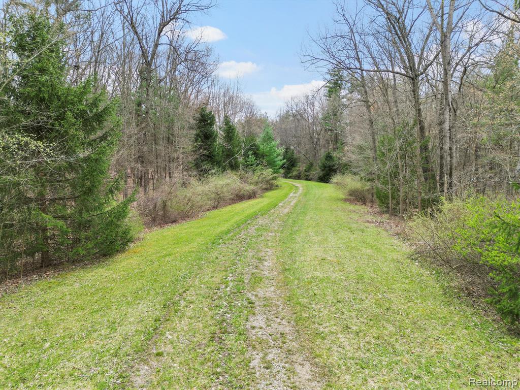 4.23 Acres VL - KNIGHTS BRIDGE Road, Leonard, MI 48367 — Photo 3