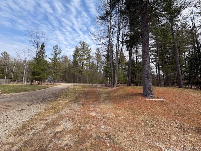3615 Pinelands Point Road, Gladwin, MI 48624 — Photo 2