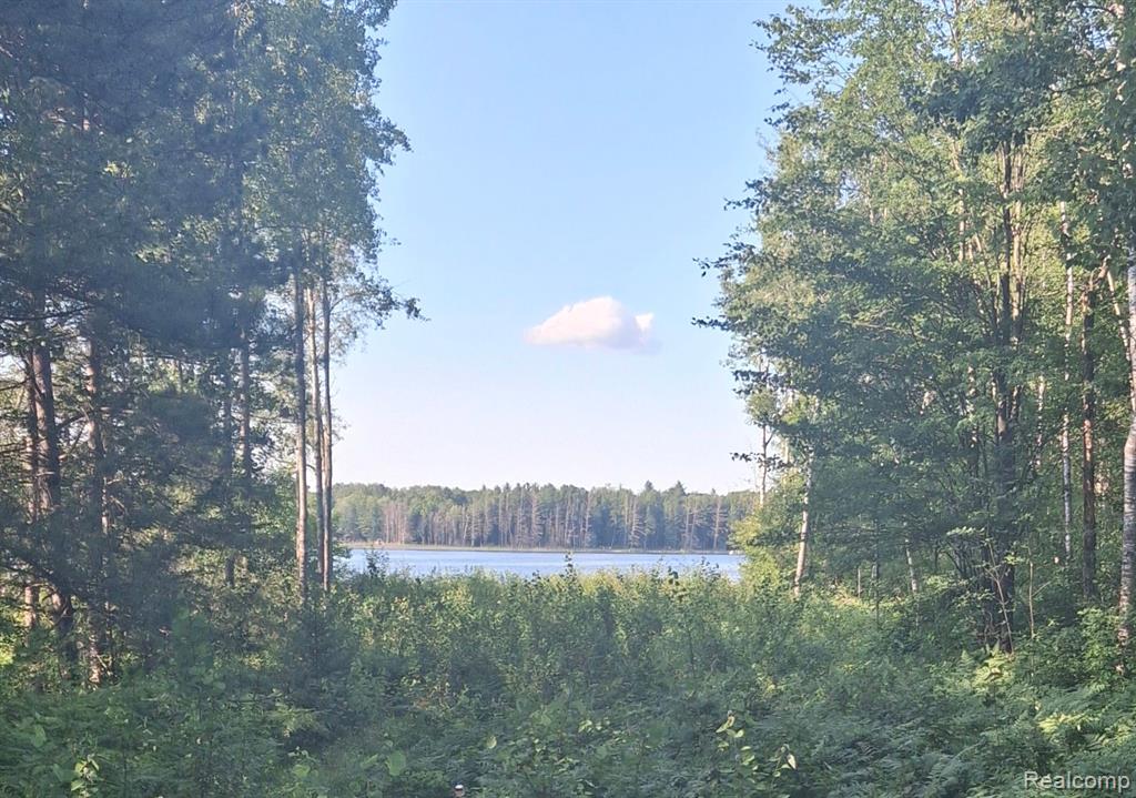Lot 101 BREEZEWOOD Drive, Mancelona, MI 49659 — front exterior