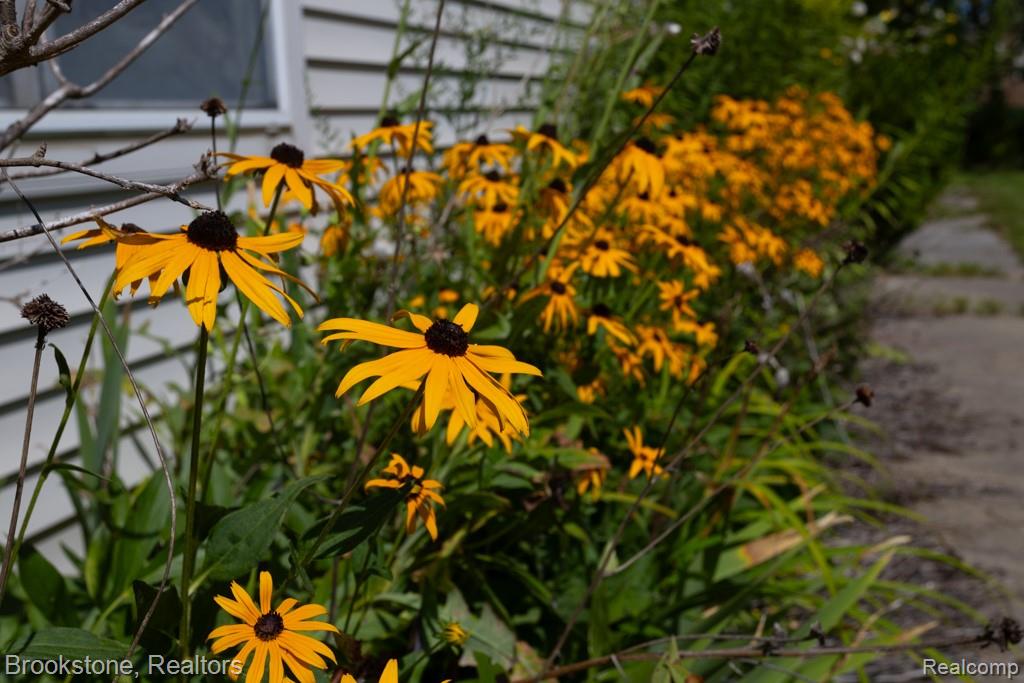11569 Hill Road, Riley, MI — Photo 34