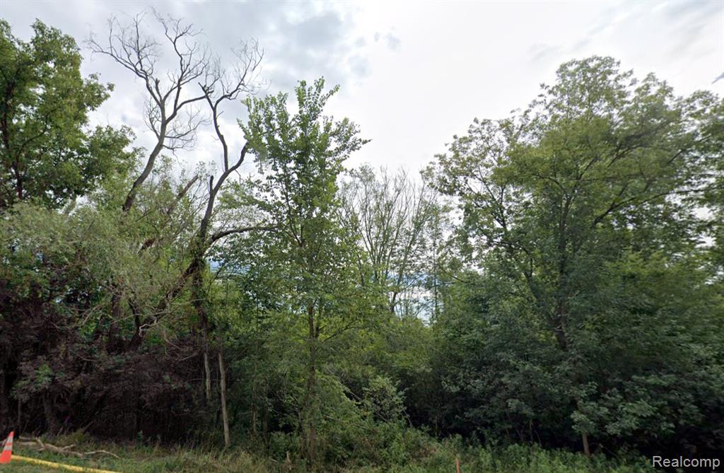 8421 Old Mill Drive, Pinckney, MI 48169 — Photo 2