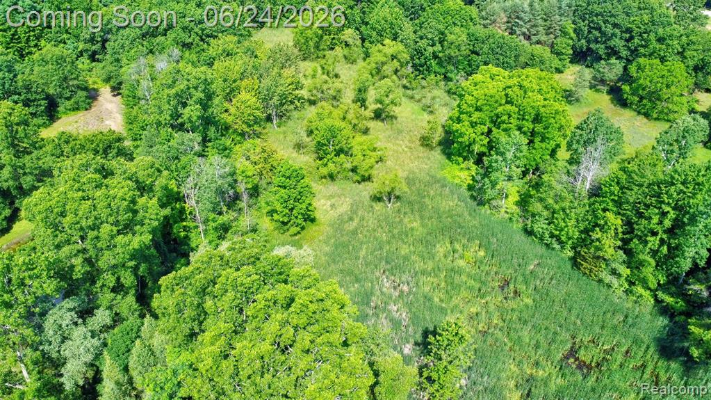 13252 Dixie Highway, Holly, MI 48442 — Photo 38