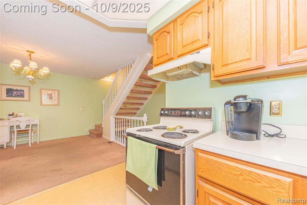 42265 S Mill Race Court, Plymouth, MI 48170 — Photo 14