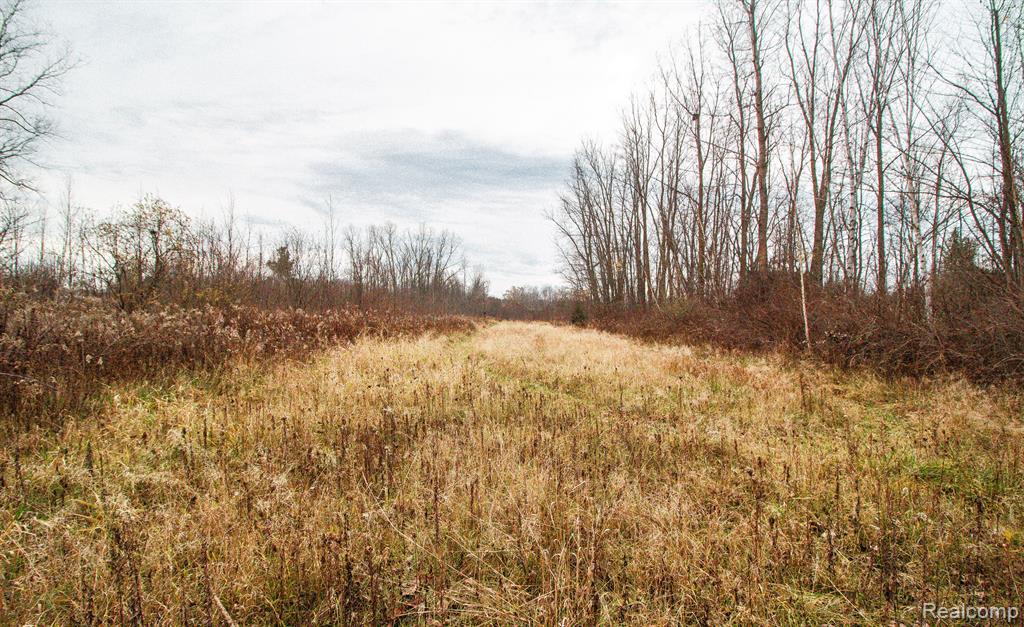 6152 OLD STATE Road, North Branch, MI 48461 — Photo 30