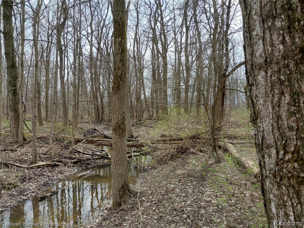 VL Rattle Run Road, St. Clair, MI 48079 — Photo 23