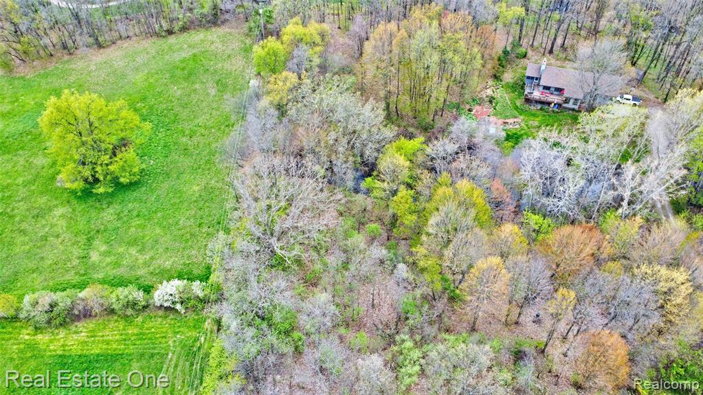 590 Judi Ann Lane, Holly, MI 48442 — Photo 8