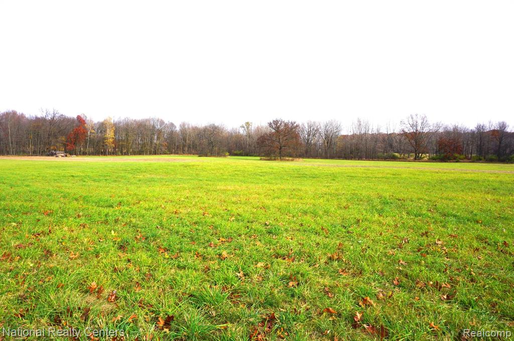 1755 KANE Road, Stockbridge, MI 49285 — Photo 31