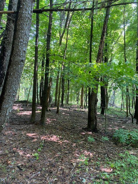 7 Sleaford-Parcel 7 - 2 Acres Road, Howell, MI 48843 — Photo 11
