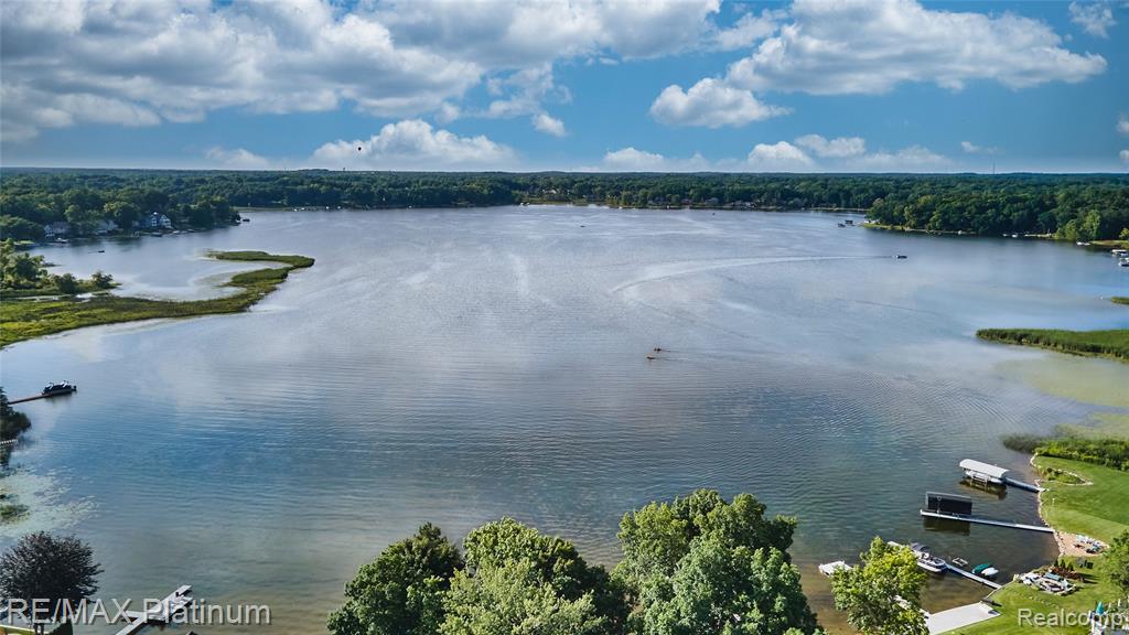 4358 SKUSA Drive, Brighton, MI 48116 — Photo 12