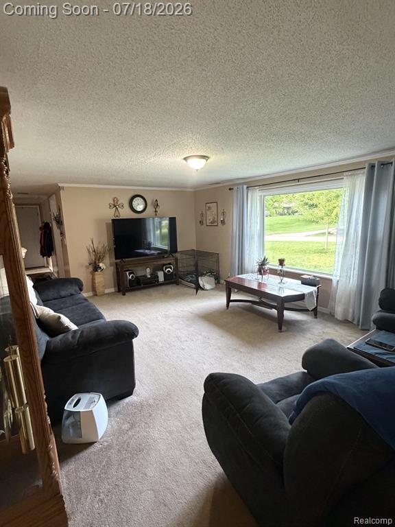 4070 Blood Road, Metamora, MI 48455 — Photo 12
