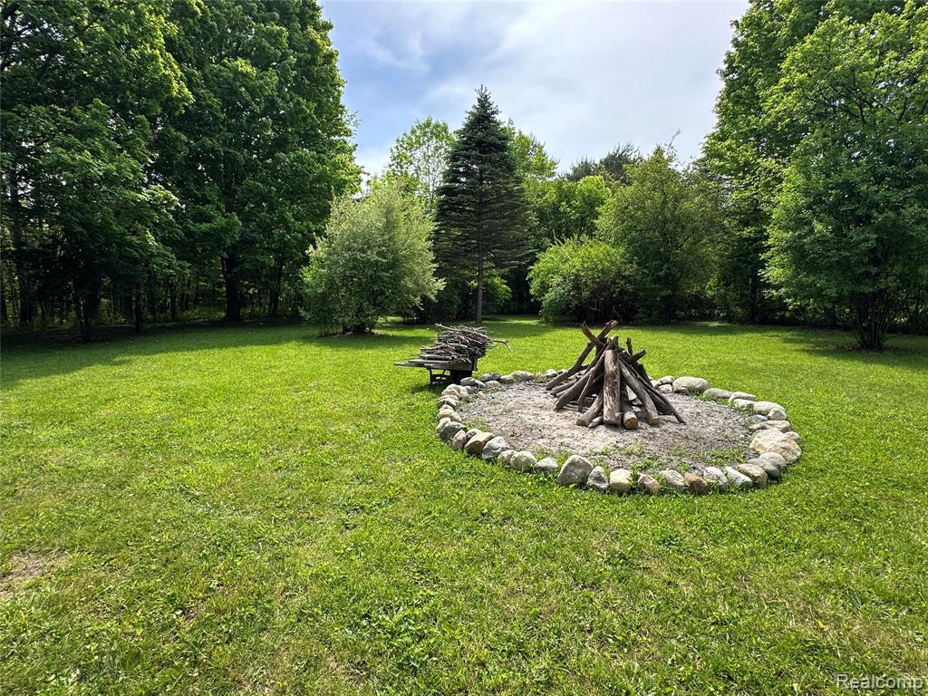 6161 River Road, Flushing, MI 48433 — Photo 21