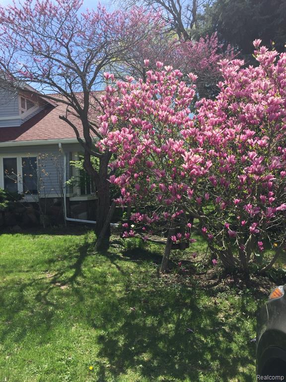 66 E Shore Drive, Whitmore Lake, MI 48189 — Photo 40