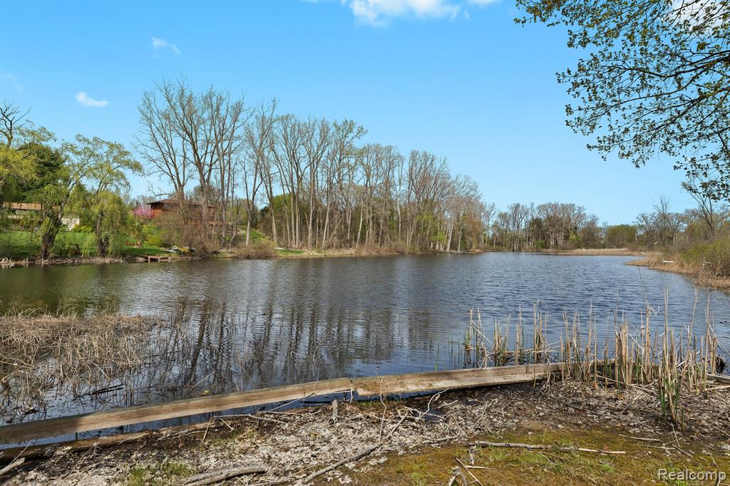 9997 APPLEGATE Lane, Brighton, MI 48114 — Photo 6
