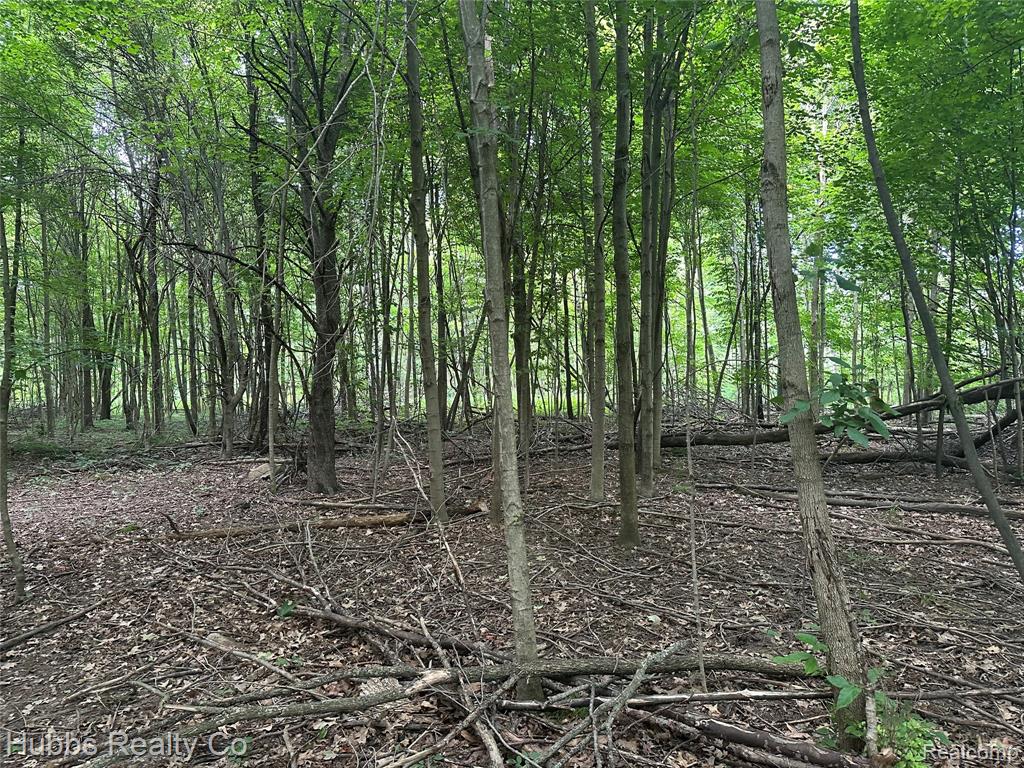 4251 E Frances Road, Mount Morris, MI 48458 — Photo 8