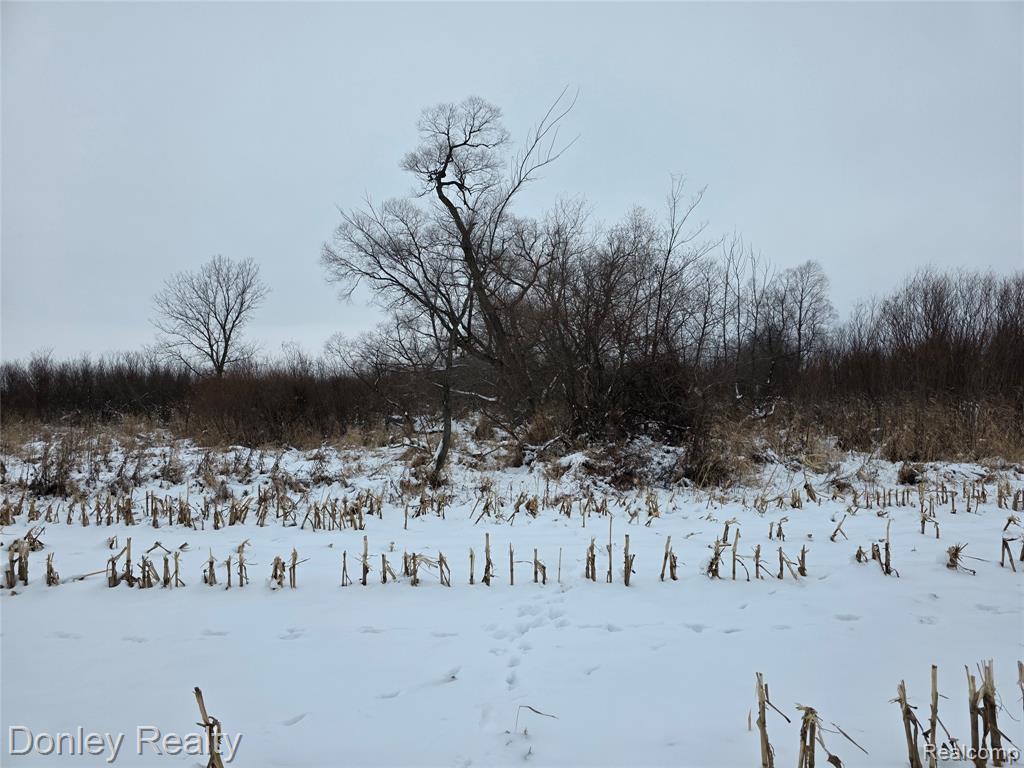 9999 Montgomery, Sanilac, MI 48453 — Photo 3