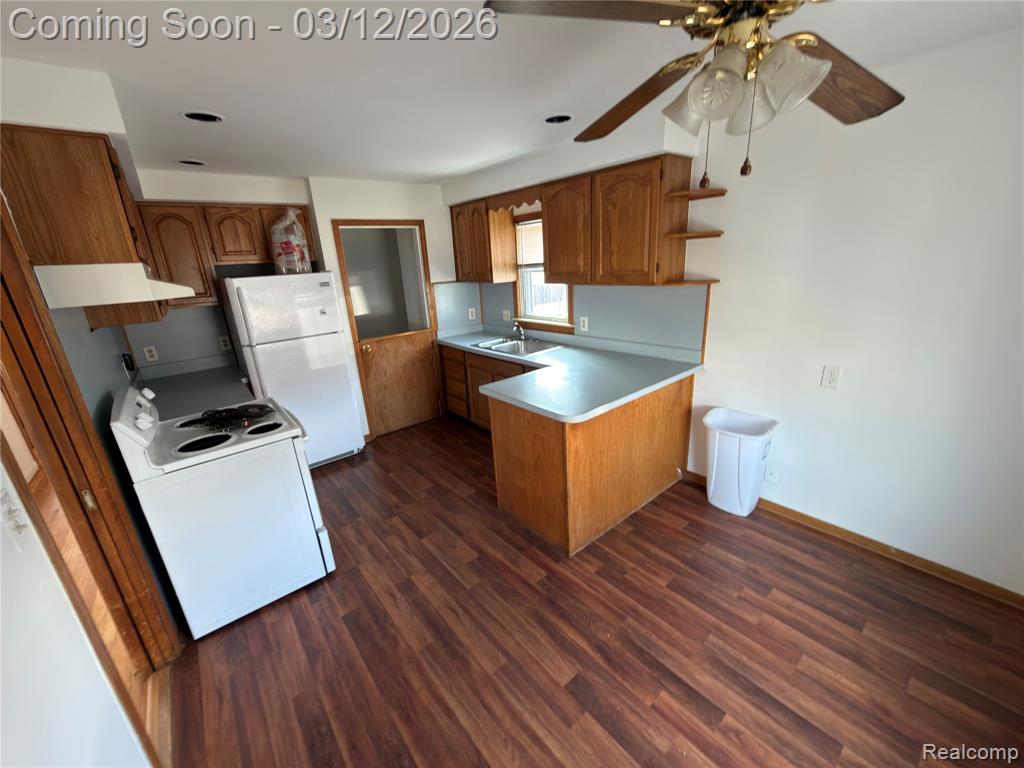 1765 Garfield Avenue, Lincoln Park, MI 48146 — Photo 4