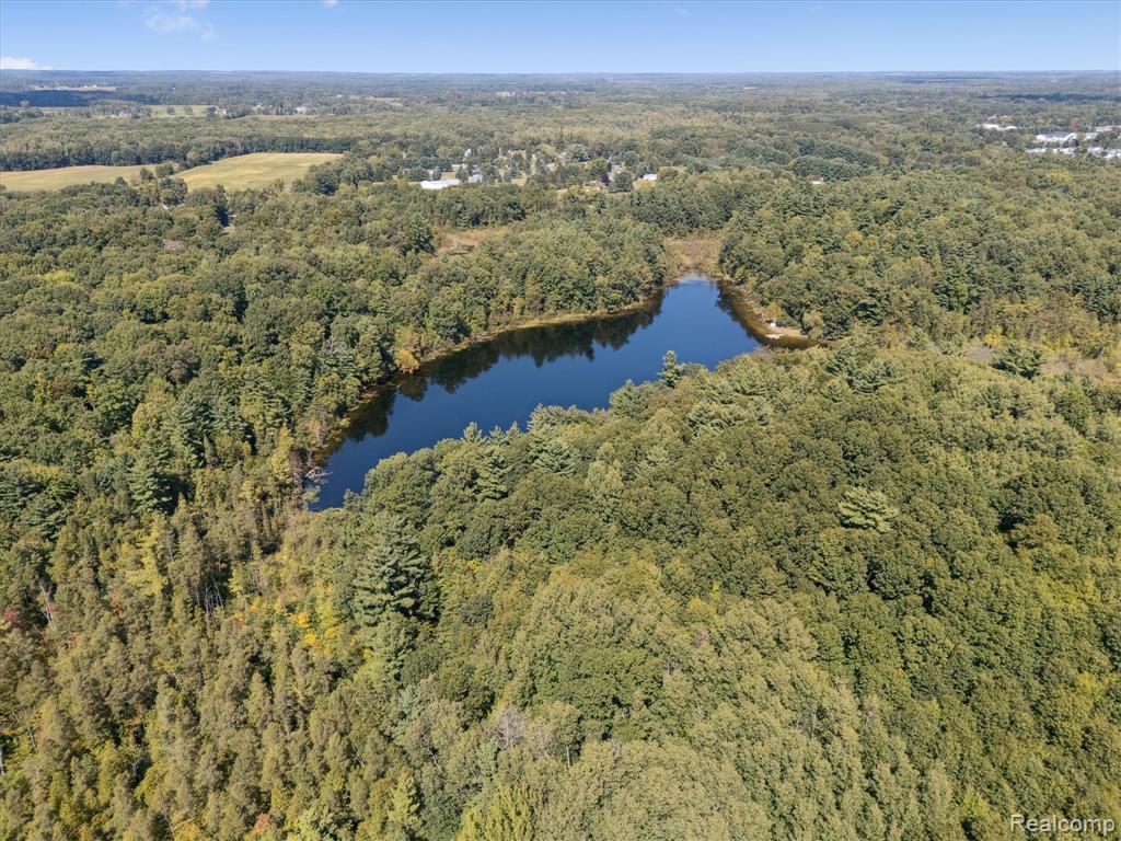 267 W Barnes Lake Road, Columbiaville, MI 48421 — Photo 43