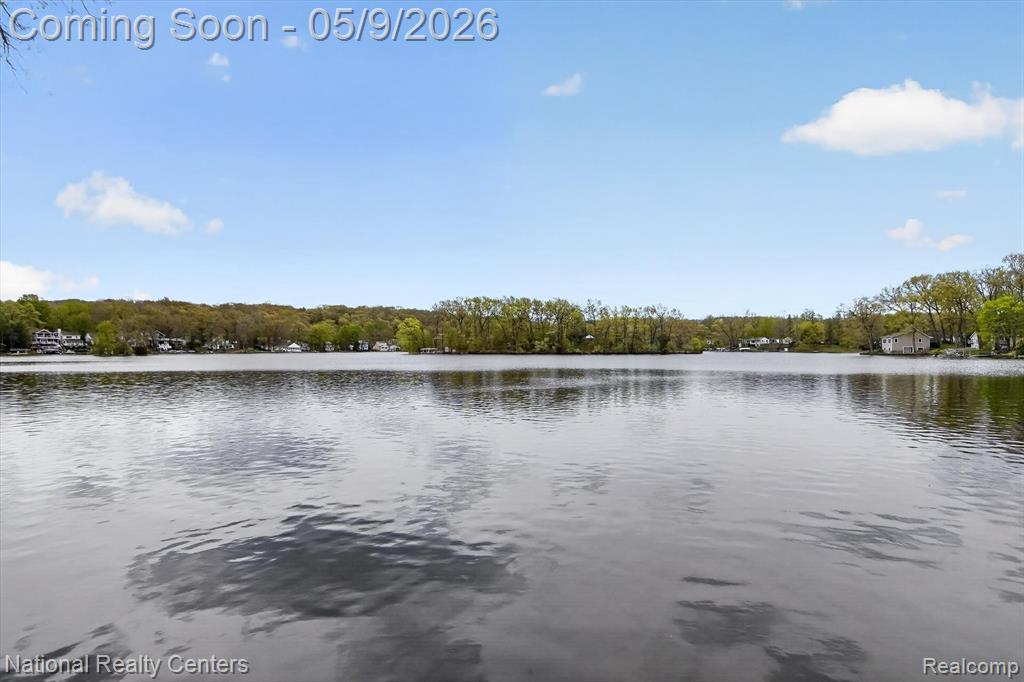 11505 Sunset Boulevard, Pinckney, MI 48169 — Photo 40