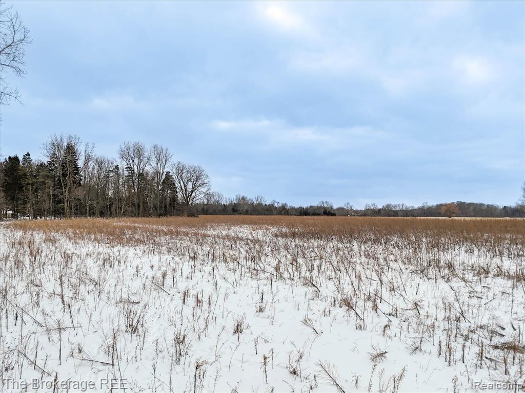 S Gera Rd, Birch Run, MI 48415 — Photo 20