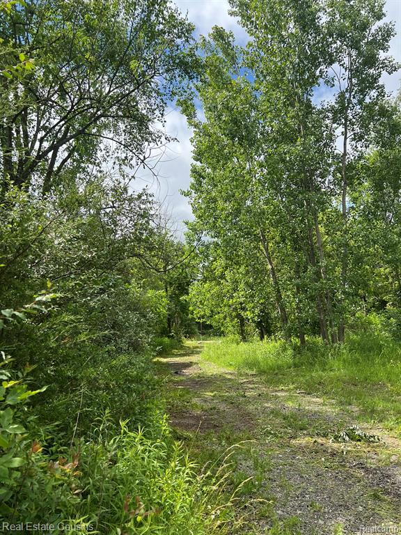 5440 Lobdell Road, Fenton, MI 48430 — Photo 2