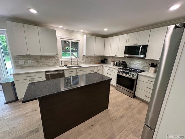 1727 Pero Lake Road, Lapeer, MI 48446 — Photo 10