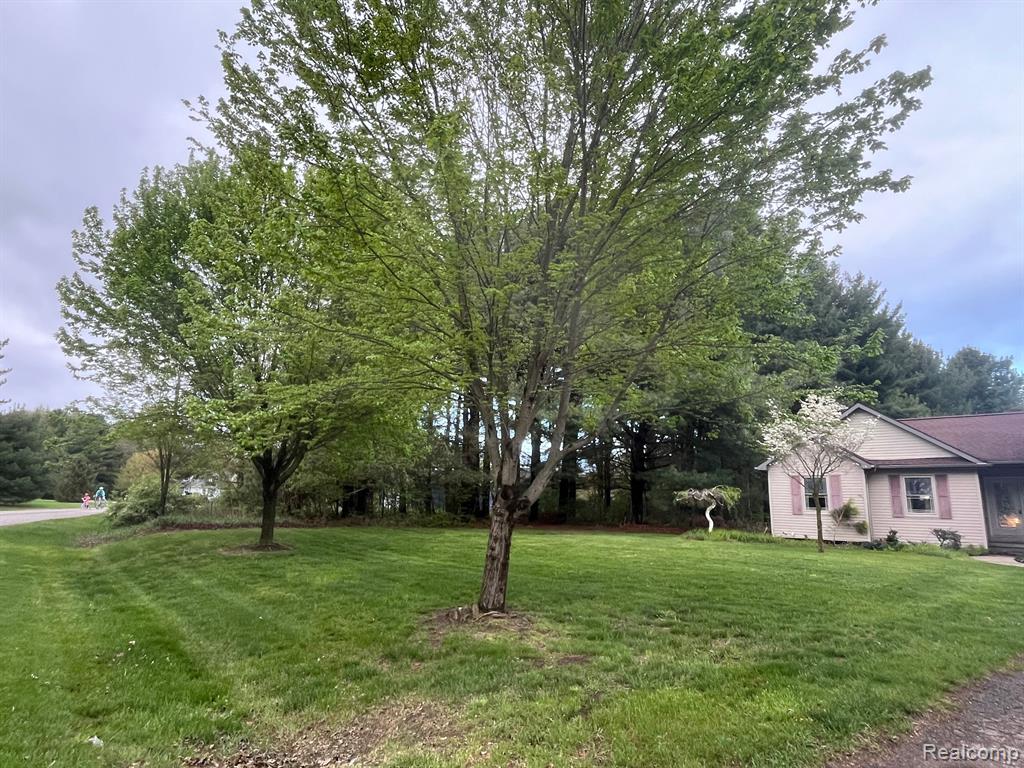 4564 LEEWARD Drive, Pleasant Lake, MI 49272 — Photo 7