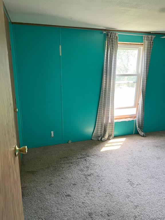 12075 PEET Road, Chesaning, MI 48616 — Photo 9