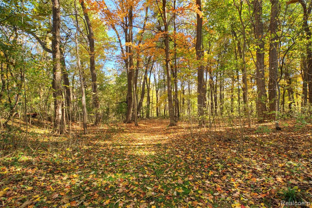 7603 Hamburg Road, Brighton, MI 48116 — Photo 43