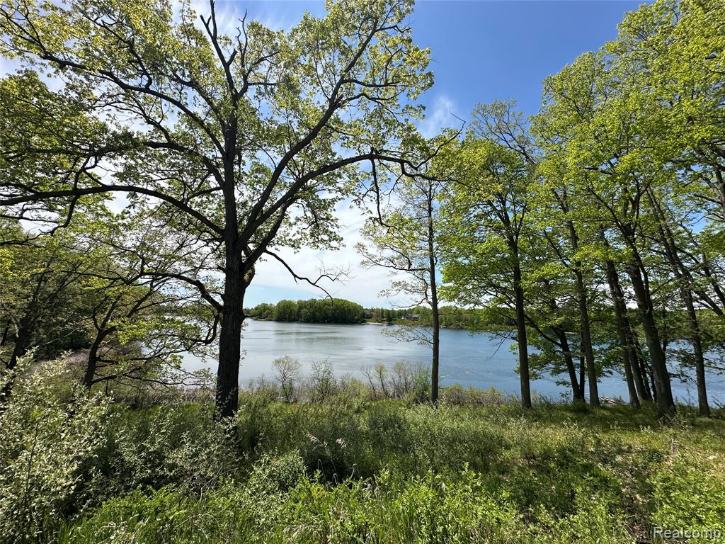 6727 Sherman Street, Otter Lake, MI 48464 — Photo 11
