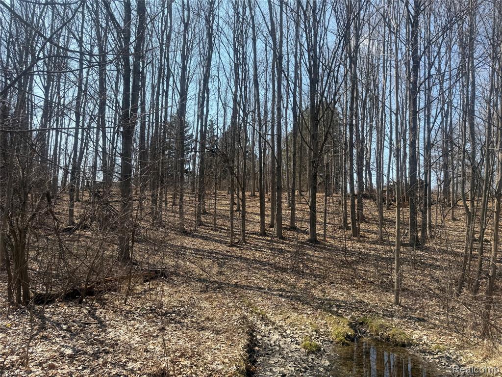 V/L Fulton, Mayville Vlg, MI 48744 — Photo 5
