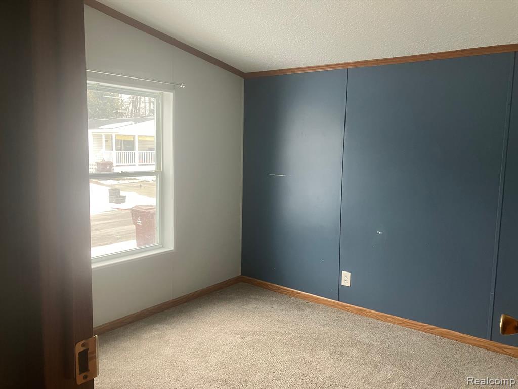 520 Pond View, Morrice, MI 48857 — Photo 13