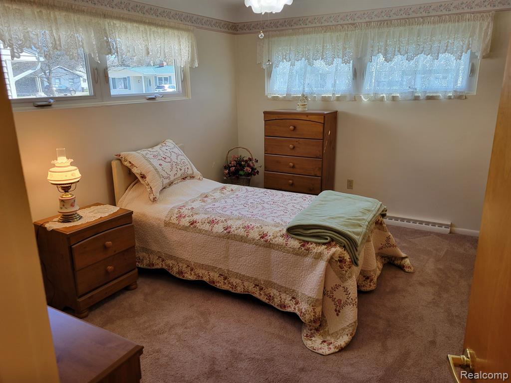 42 S FLOWER Street, Croswell, MI 48422 — Photo 12