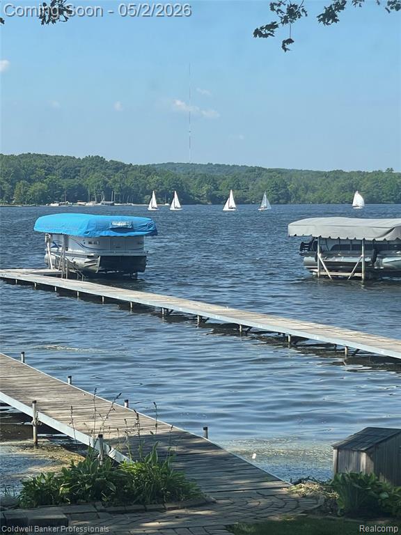 2920 Indian Trail N, Pinckney, MI 48169 — Photo 6