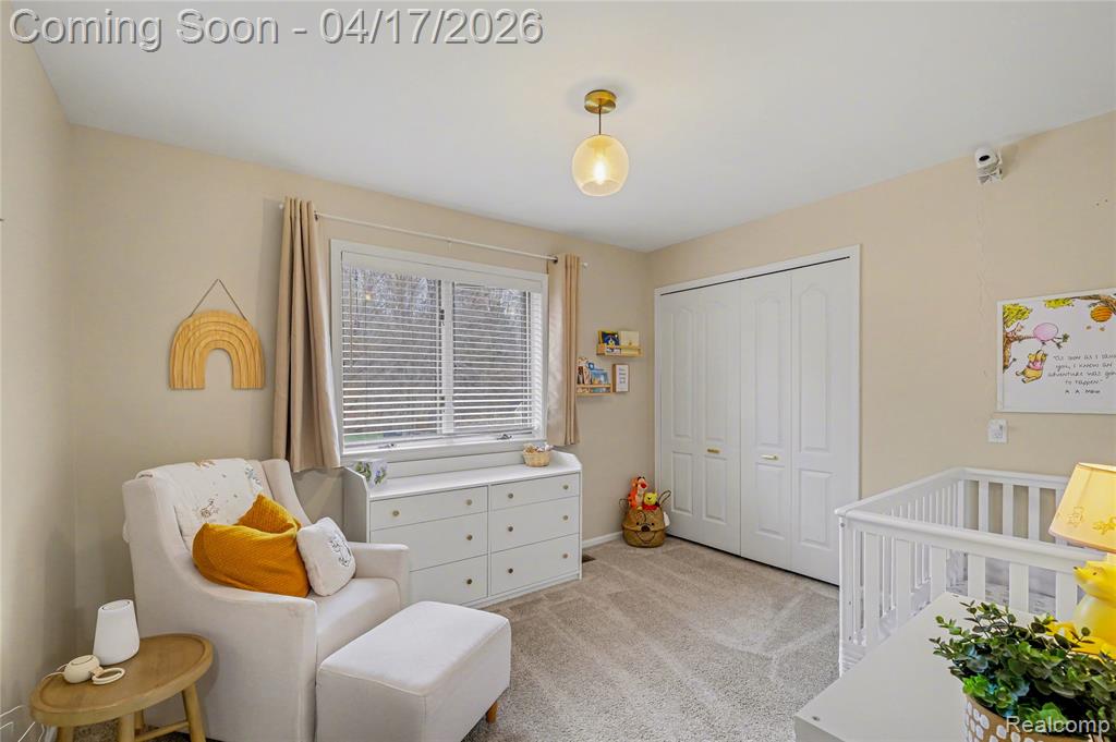 2228 Lost Creek Drive, Flushing, MI 48433 — Photo 16