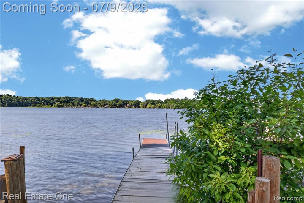 705 Sunset Drive, Attica, MI 48412 — Photo 10