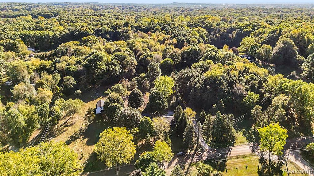 8344 Ellis Road, Clarkston, MI 48348 — Photo 9