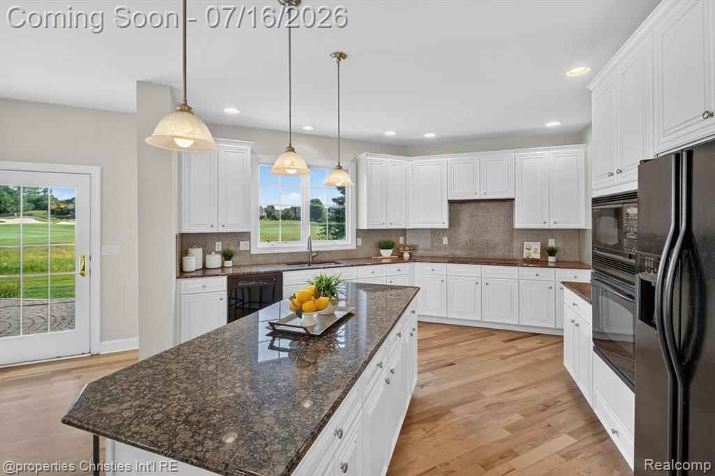 45864 Tournament Drive, Northville, MI 48168 — Photo 22