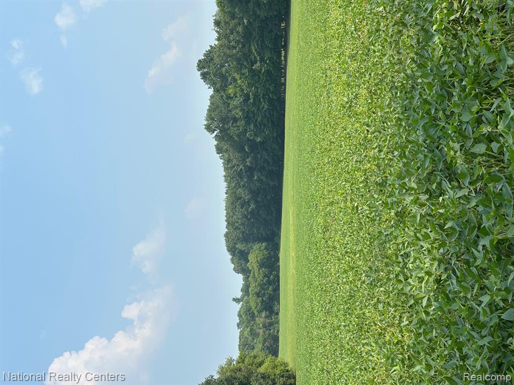 5438 N Henderson Road, Davison, MI 48423 — Photo 8